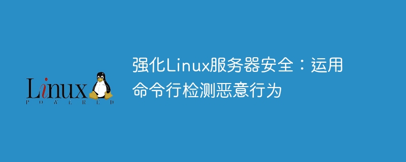 强化linux服务器安全：运用命令行检测恶意行为