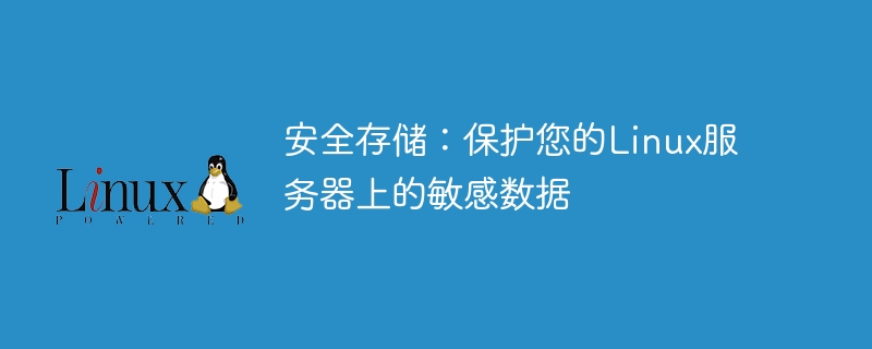 安全存储：保护您的Linux服务器上的敏感数据