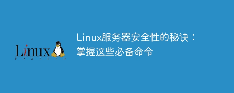 Linux服务器安全性的秘诀：掌握这些必备命令