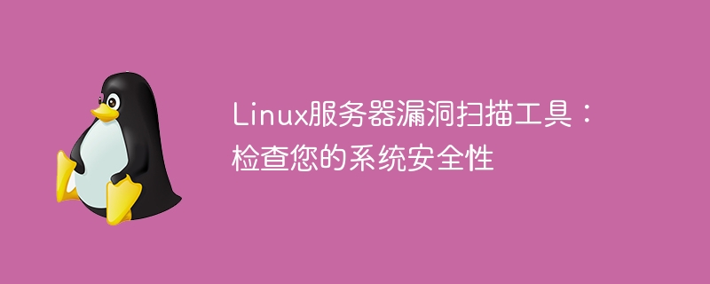 Linux服务器漏洞扫描工具：检查您的系统安全性