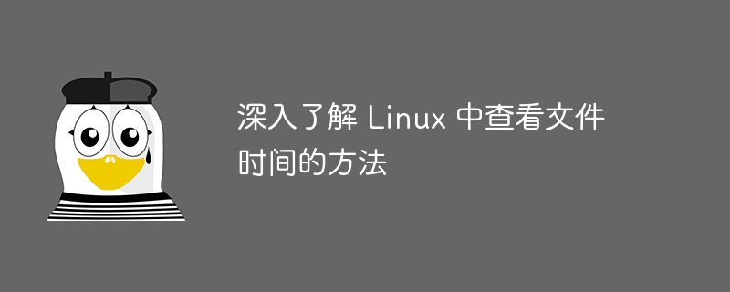 深入了解 Linux 中查看文件时间的方法