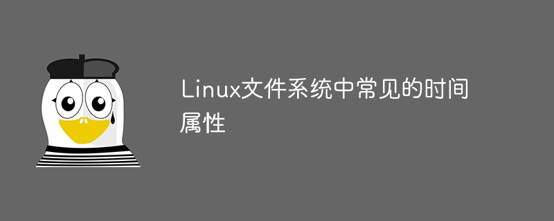 常见的时间戳属性在Linux文件系统中
