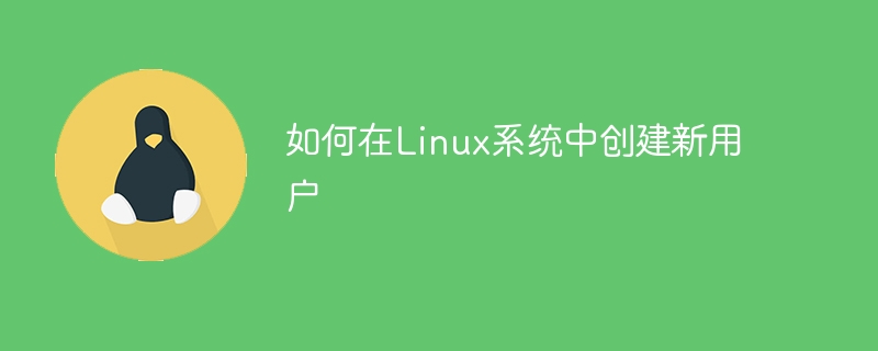 如何在linux系统中创建新用户