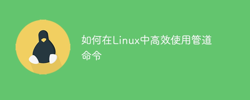 如何在linux中高效使用管道命令