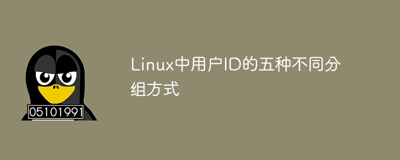 linux中用户id的五种不同分组方式