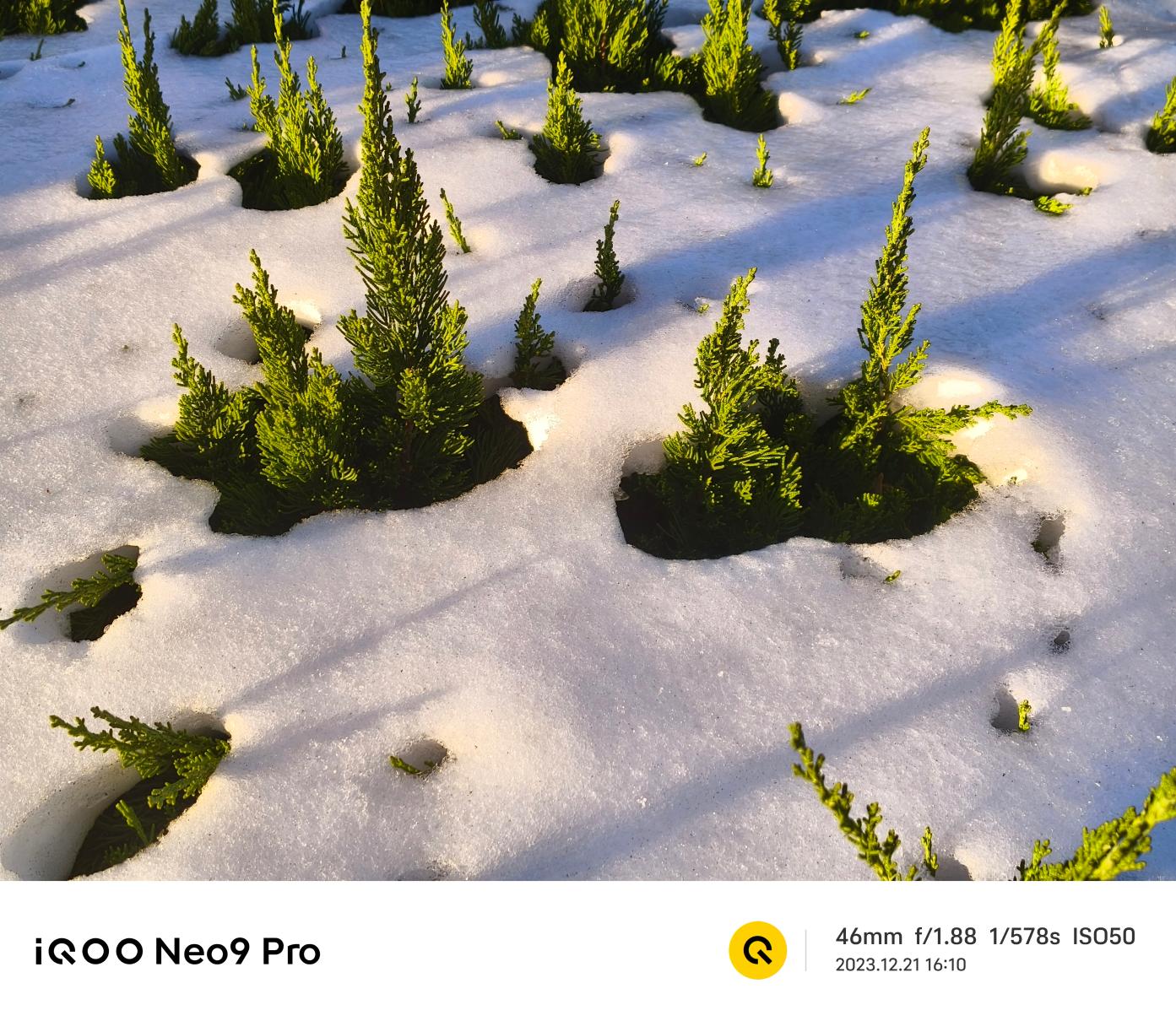 iQOO Neo9 Pro评测：内外兼顾 焕然一新