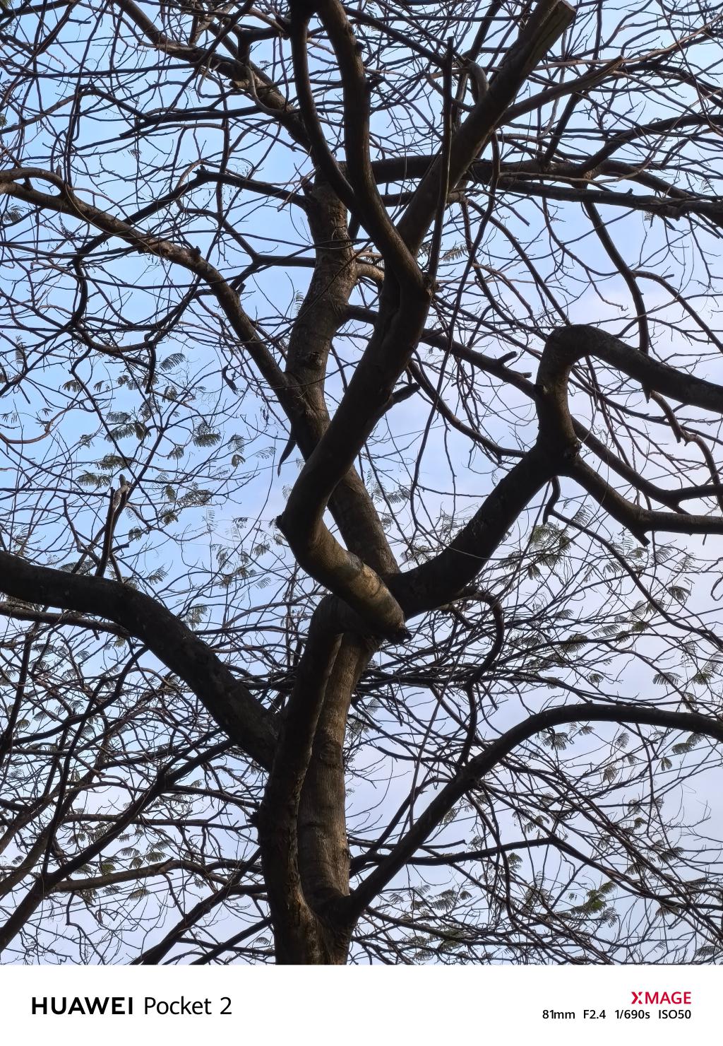 时尚全能小折叠!华为 Pocket 2 全面评测