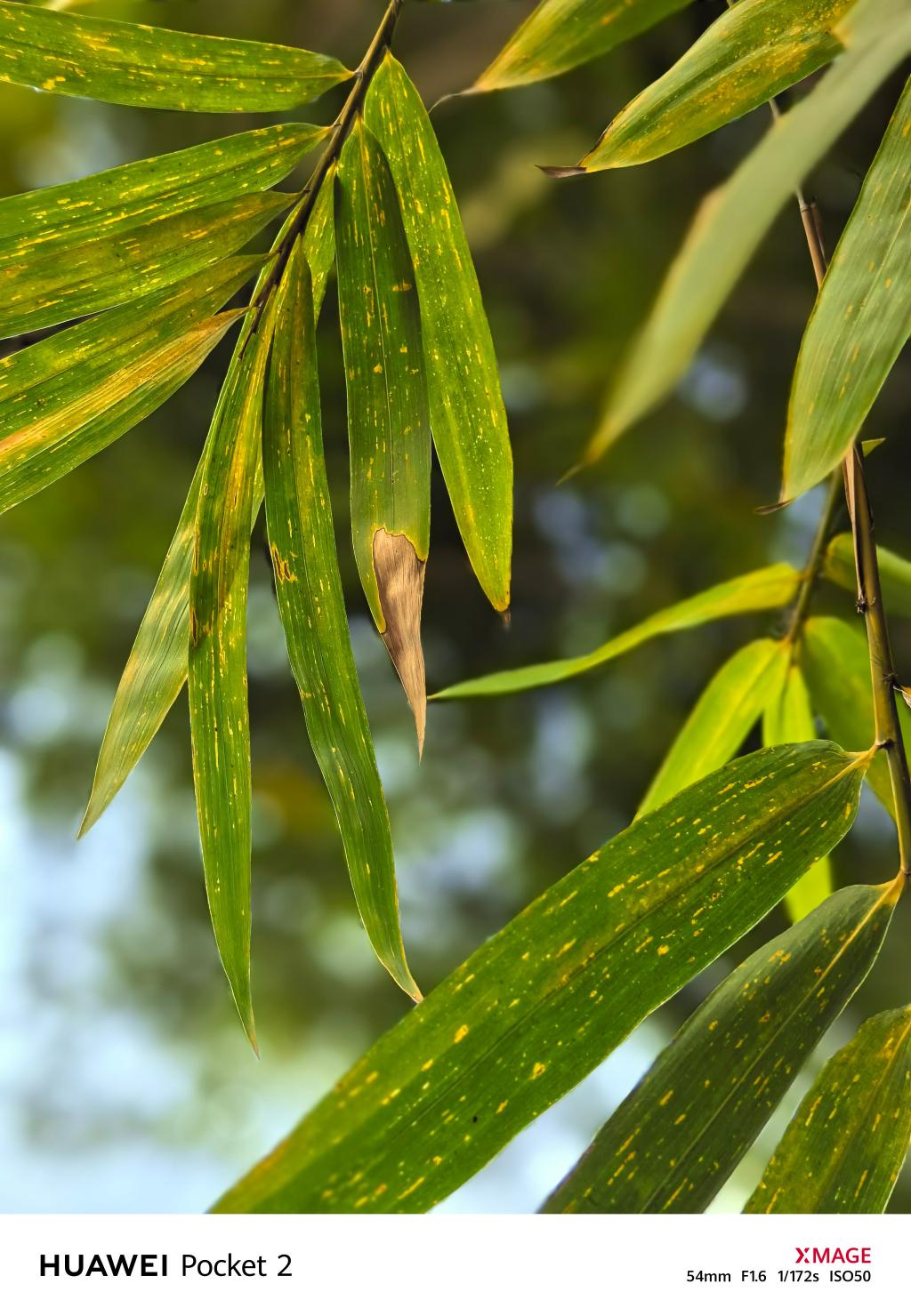 时尚全能小折叠!华为 Pocket 2 全面评测