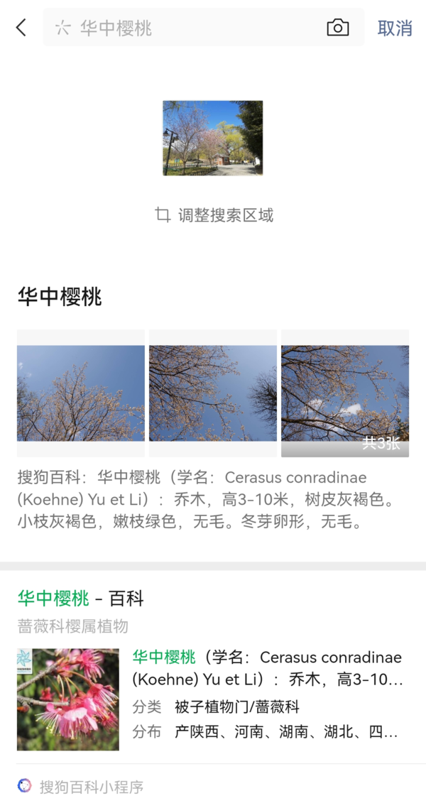 6大安卓微信8.0.21最新版更新内容及日志介绍