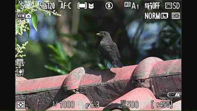 上市成“真香”微单的尼康 Z6 III，为什么成为了用户首选