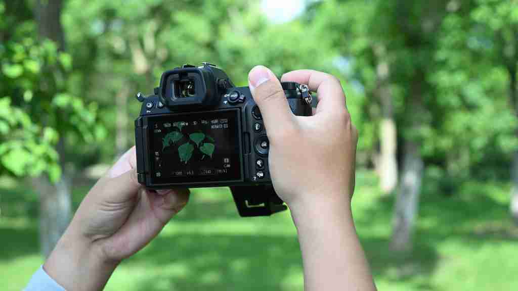  上市成“真香”微单的尼康 Z6 III，为什么成为了用户首选 