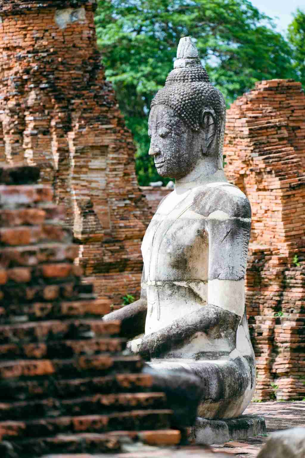  上市成“真香”微单的尼康 Z6 III，为什么成为了用户首选 