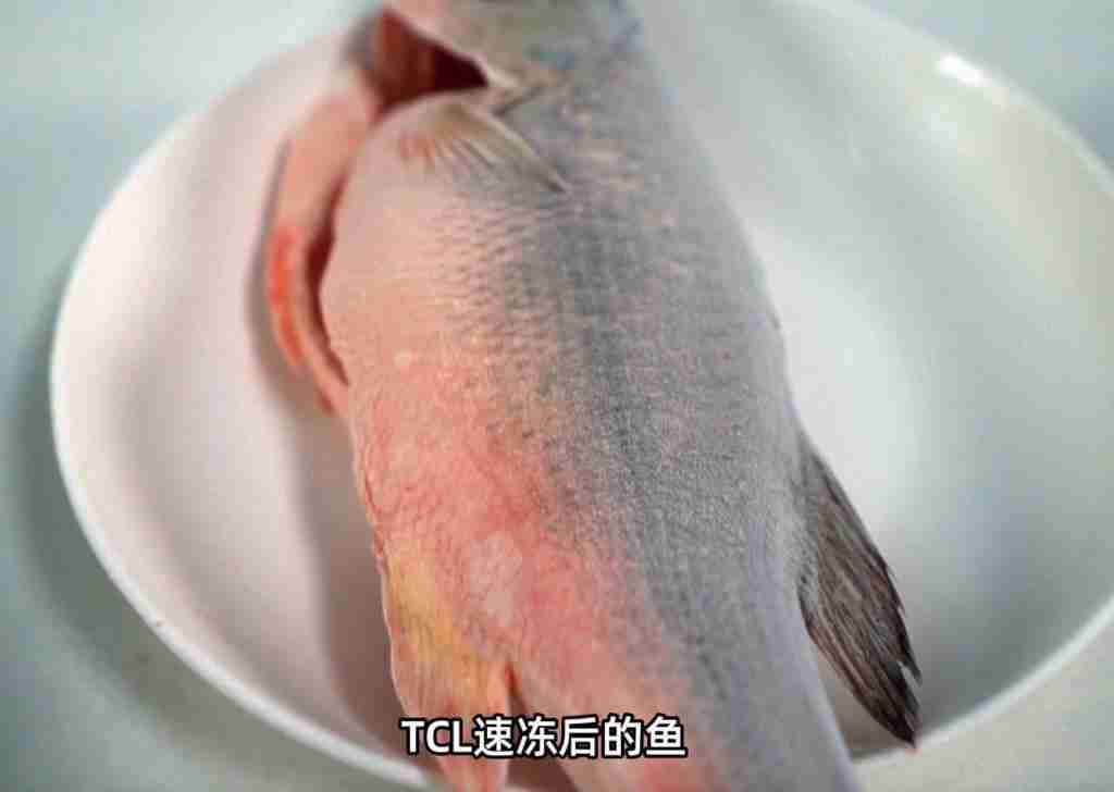 TCL T9 Pro 冰箱评测：双系统革新，真平嵌新潮流，质价比震撼 