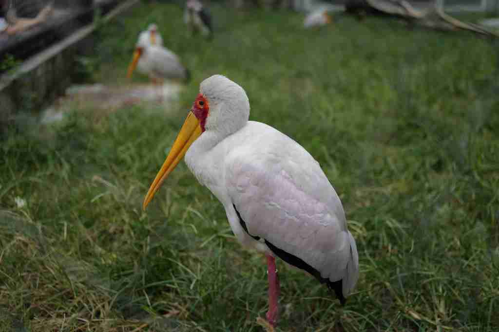 43mm 双 A 镜头画质出众 徕卡 Q3 43 拍摄体验 