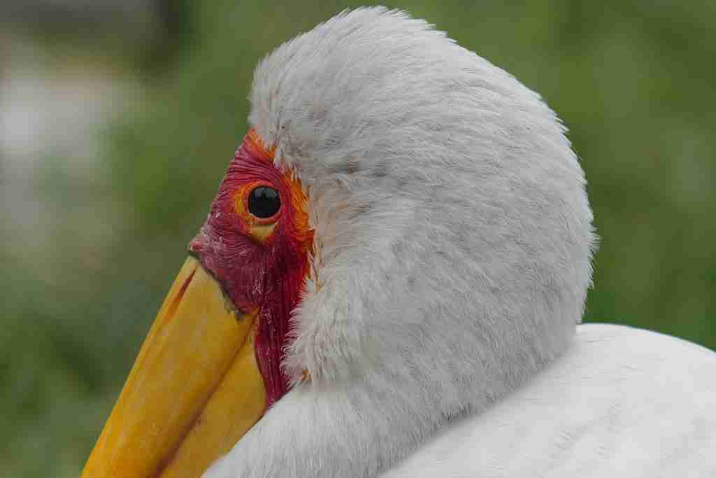 43mm 双 A 镜头画质出众 徕卡 Q3 43 拍摄体验 