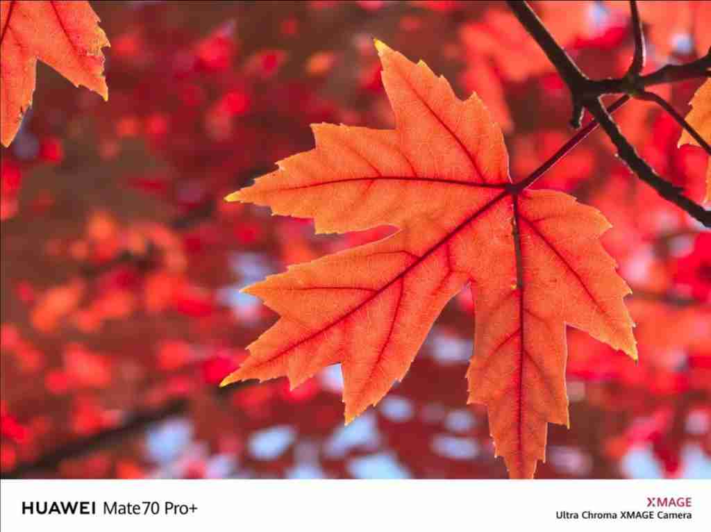  色彩准确性背后的黑科技，华为 Mate 70 或将搭载红枫原色影像 