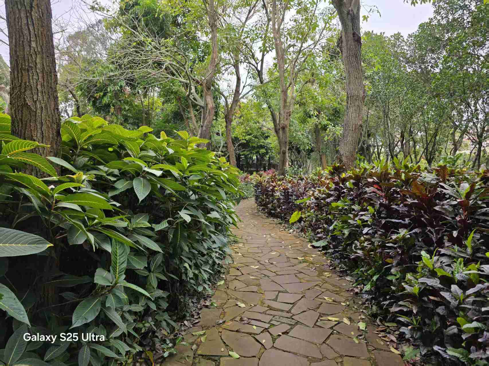 用了一个星期的S25 Ultra，我有这些体验想和你分享一下