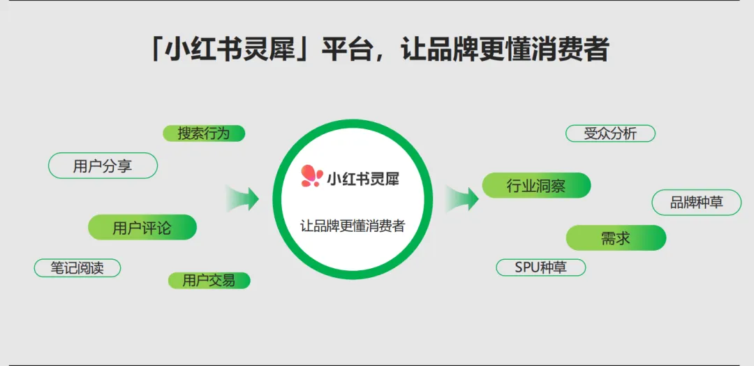 小红书灵犀全量开放中，科学营销时代真的要来了