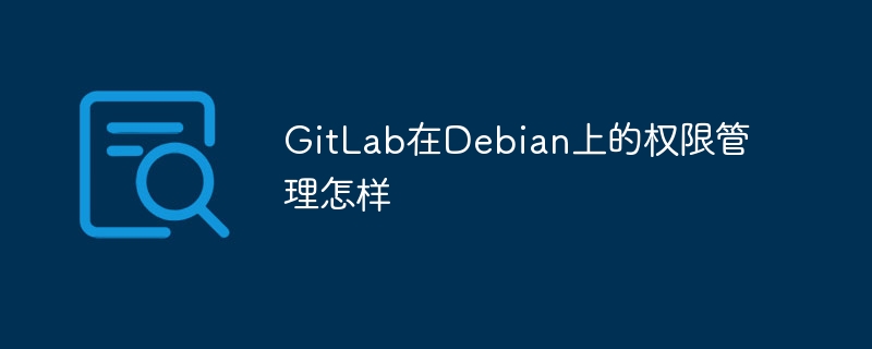 gitlab在debian上的权限管理怎样