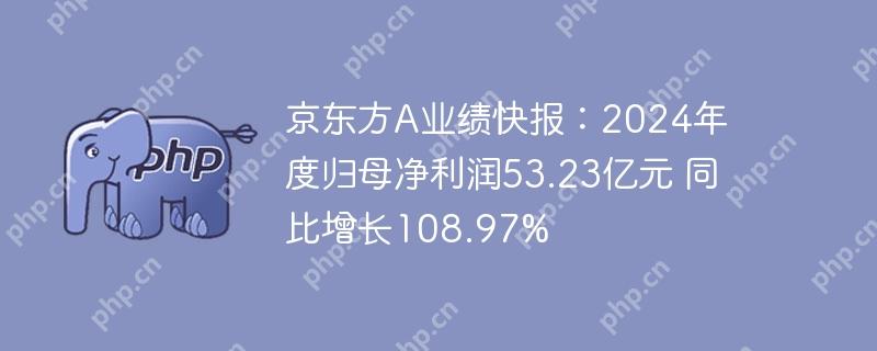 京东方a业绩快报：2024年度归母净利润53.23亿元 同比增长108.97%