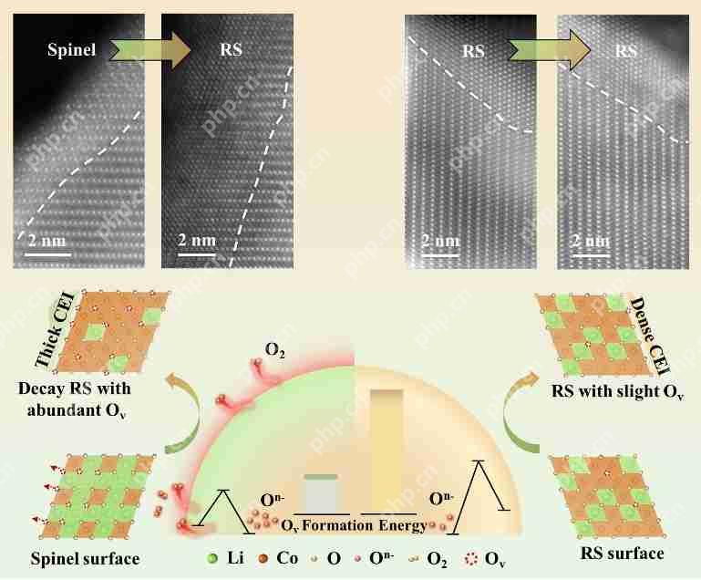 北京大学在锂电池正极钴酸锂表面构筑稳定晶格氧提升循环稳定性方面取得研究进展