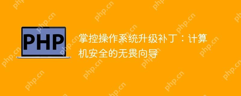 掌控操作系统升级补丁：计算机安全的无畏向导