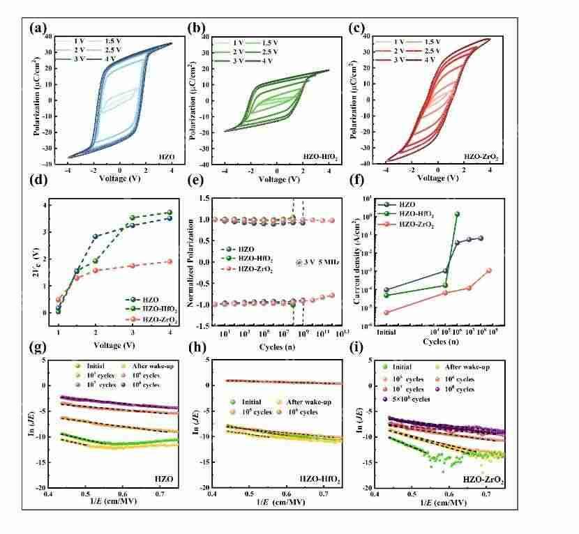 西安电子科技大学周益春教授团队在Advanced Functional Materials发表文章