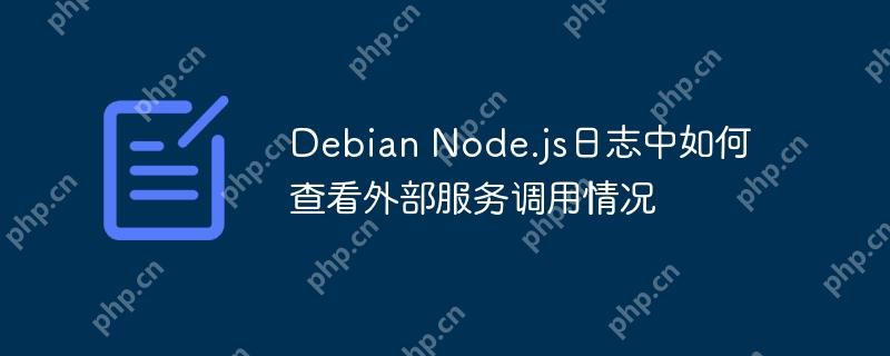 Debian Node.js日志中如何查看外部服务调用情况