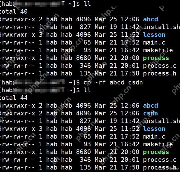 【Linux】想学习Linux不看这一篇你就慢了--＞发展背景与基本指令