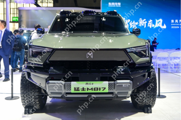东风猛士M817亮相上海车展 含“华”量最高的越野车