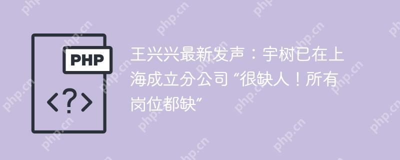王兴兴最新发声：宇树已在上海成立分公司 “很缺人！所有岗位都缺”