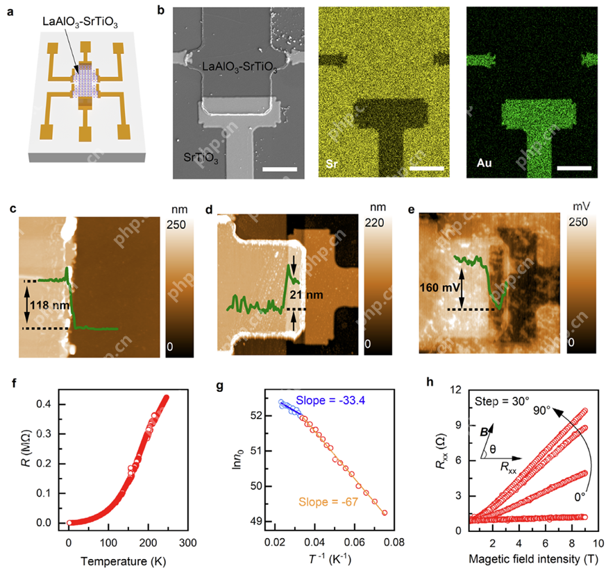 中山大学许适溥副教授团队在Small发表基于二维电导的压力传感器研究