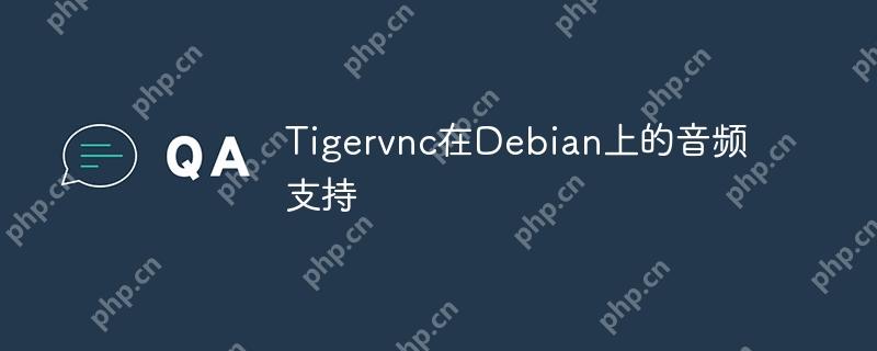 Tigervnc在Debian上的音频支持