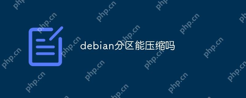 debian分区能压缩吗