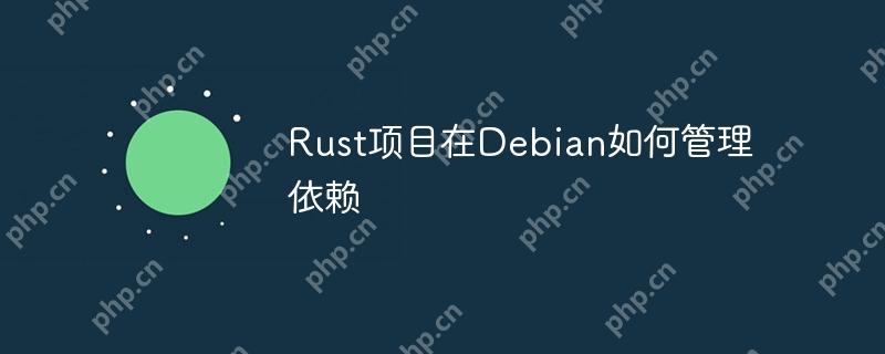 Rust项目在Debian如何管理依赖
