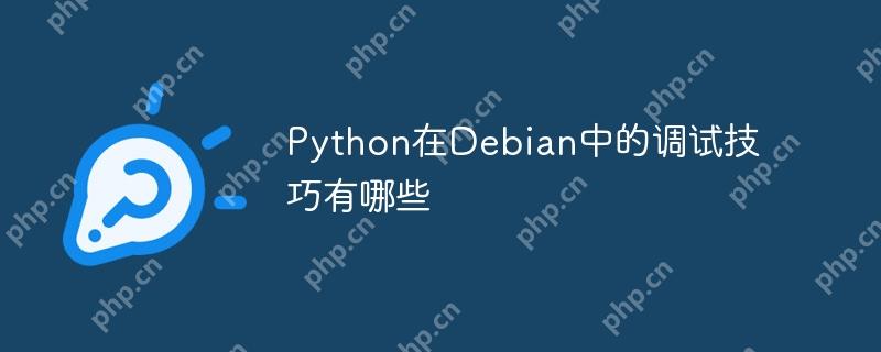 python在debian中的调试技巧有哪些