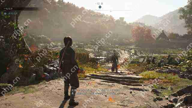 不喜欢尼 《刺客信条:影》能买吗?