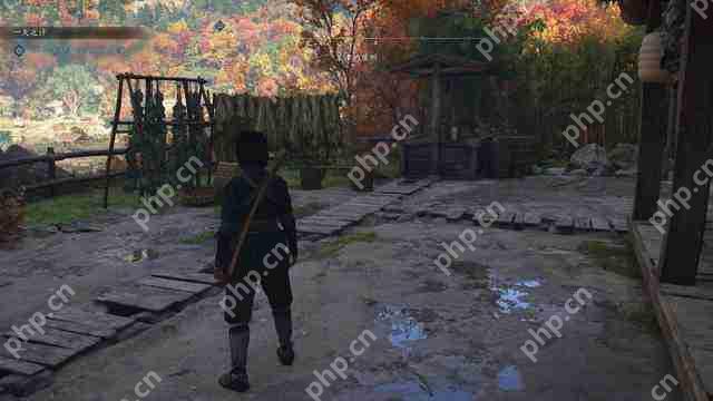 不喜欢尼 《刺客信条:影》能买吗?