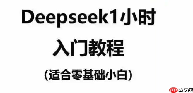 DeepSeek + 有道翻译：多语言文档实时翻译与润色技巧