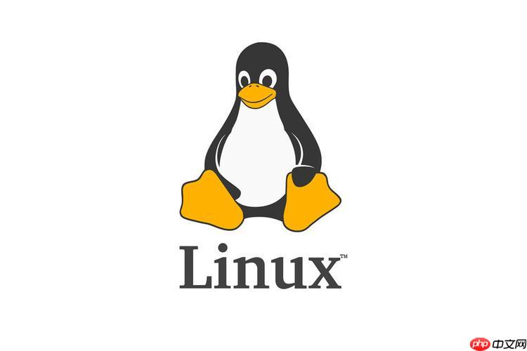 linux怎样查看进程信息？如何结束异常进程？