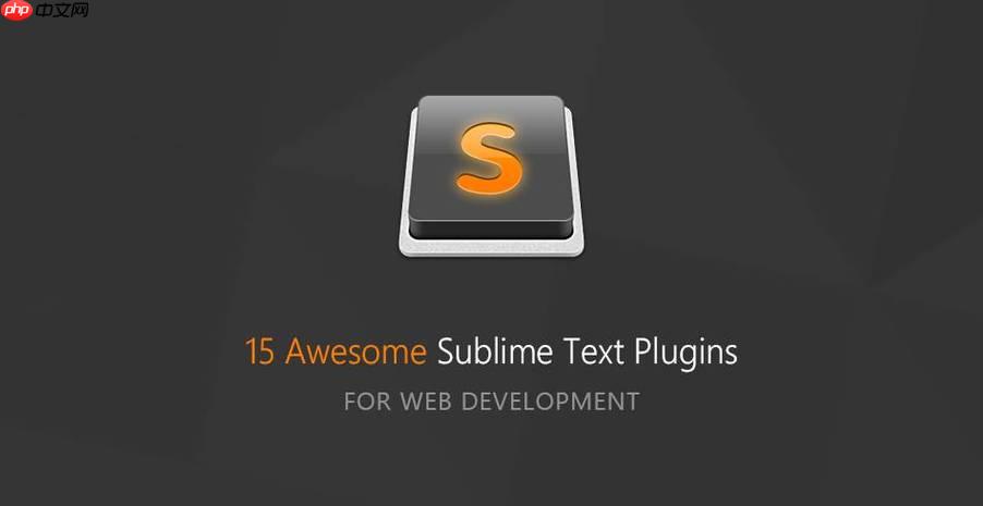 解决SublimeText插件冲突导致的崩溃问题