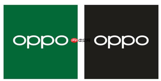 oppo手机忘记锁屏密码怎么办 oppo手机锁屏密码重置方法