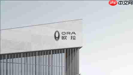 传长城汽车规划至少四款欧拉全新车型 包括一款“轿卡”