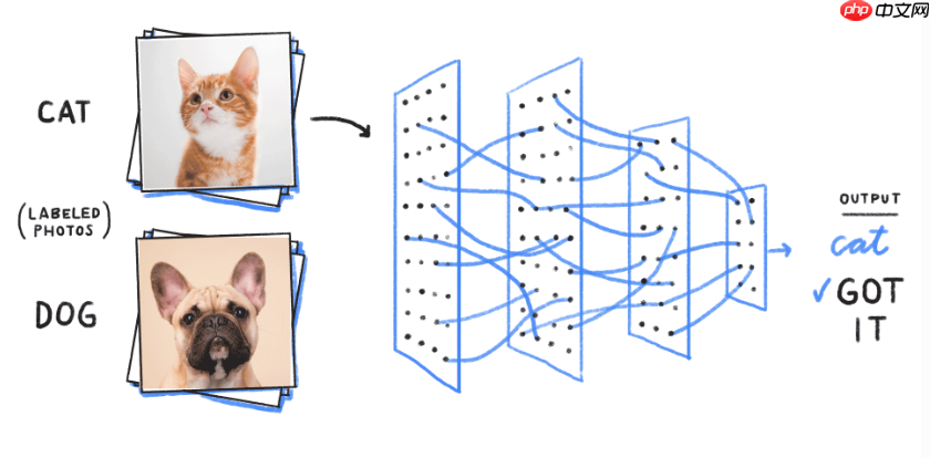 关于AI人工智能的知识图谱简介