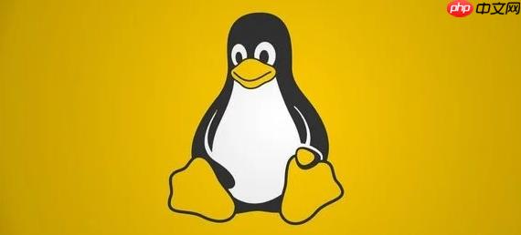 Linux支持哪些常见文件系统 ext4 xfs btrfs对比分析