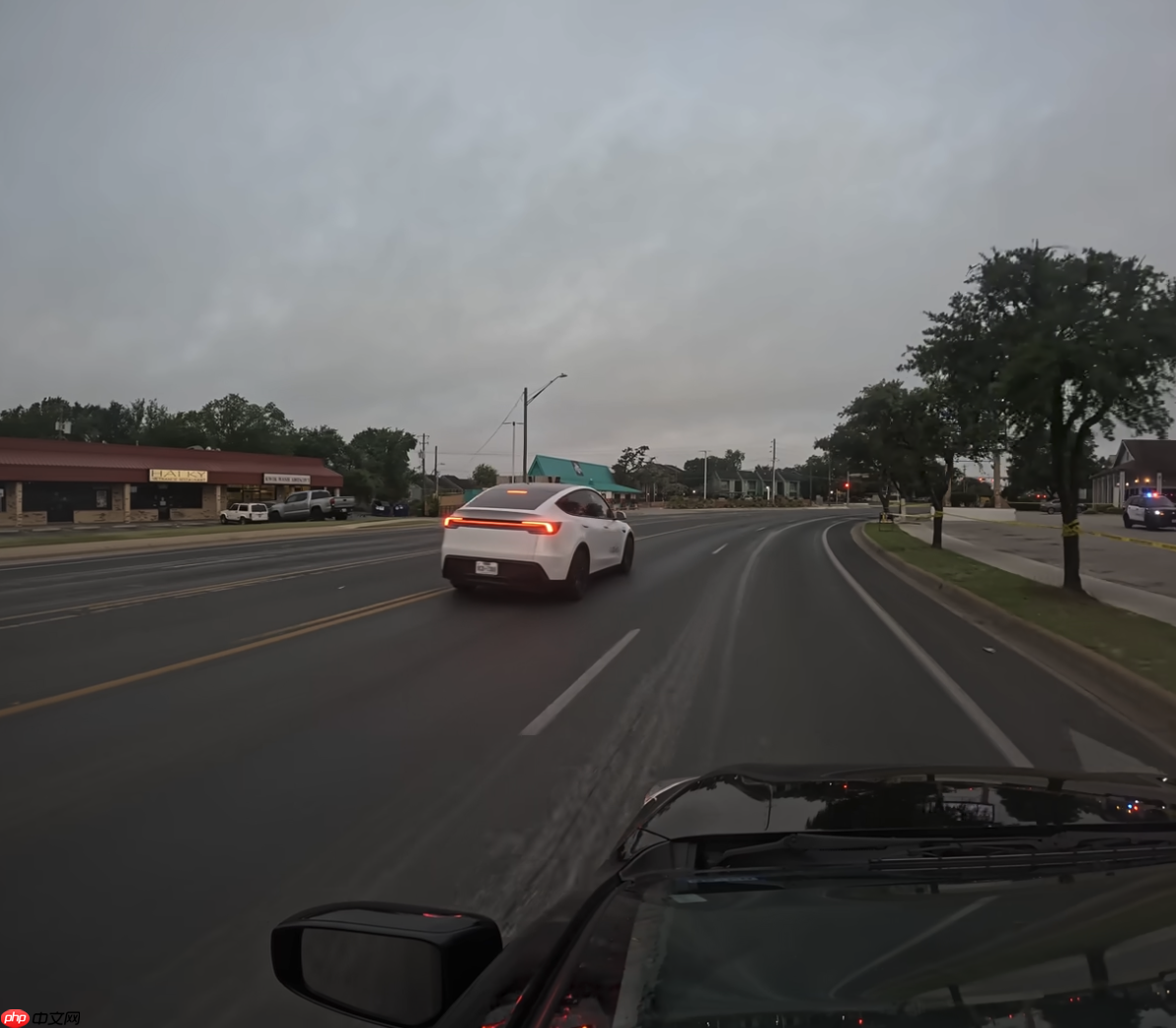 特斯拉Robotaxi状况频发 专家惊讶：一开始就这么多问题