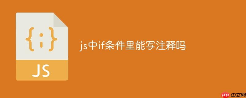 js中if条件里能写注释吗
