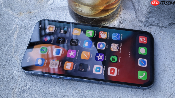别浪费iPhone这个“黑科技”！快速提取图片文字的神操作​