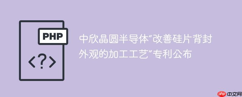 中欣晶圆半导体“改善硅片背封外观的加工工艺”专利公布