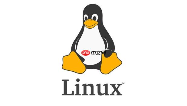 Linux如何创建软链接？ ln命令创建软链接的完整步骤解析